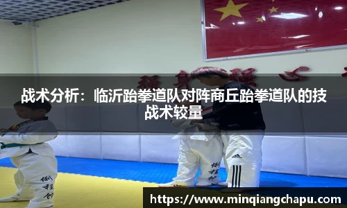 战术分析：临沂跆拳道队对阵商丘跆拳道队的技战术较量